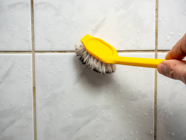 Best Affordable Mold Removal  in Tornado, WV